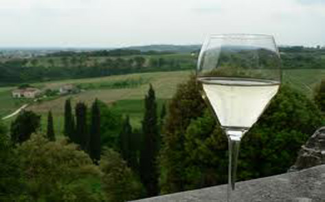 Prosecco_473x295px