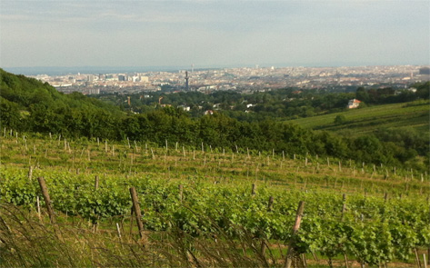 Wien_473x295px