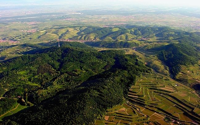 648px-Wiki_Kaiserstuhl