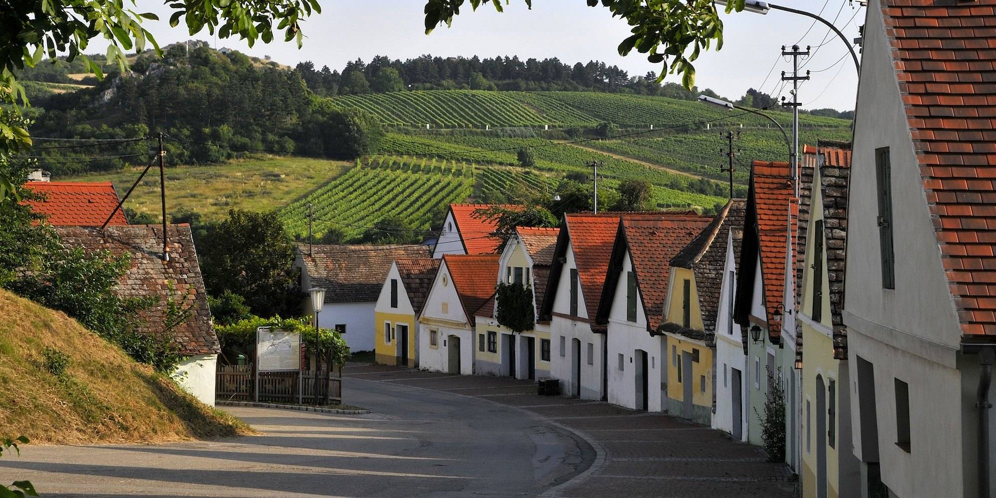 xFalkenstein_Kellergasse4_WTG_Mandl.jpg.pagespeed.ic.0MaR4_lTjA